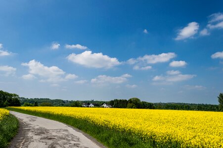 Free stock photo from Flickr