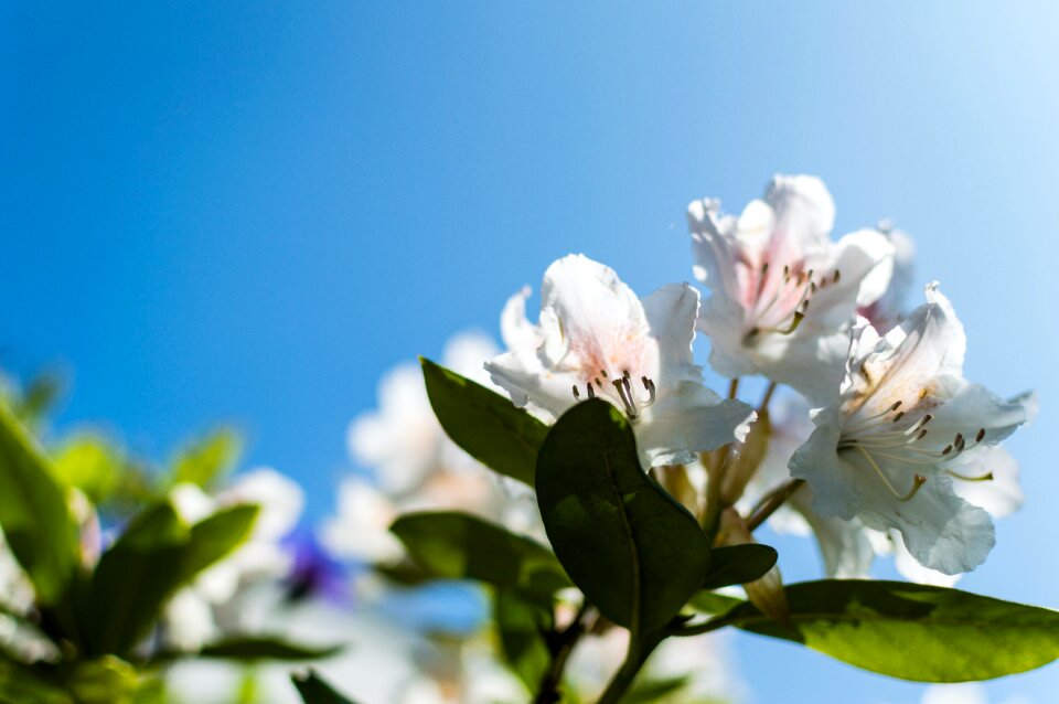 Free stock photo from Flickr