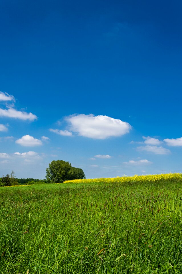 Free stock photo from Flickr