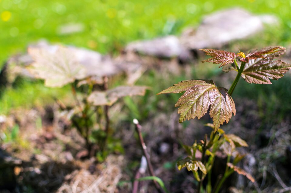 Free stock photo from Flickr