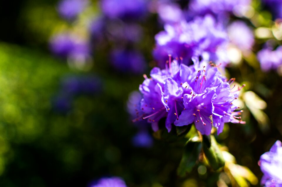 Free stock photo from Flickr
