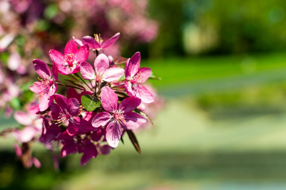 Free stock photo from Flickr