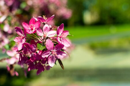 Free stock photo from Flickr