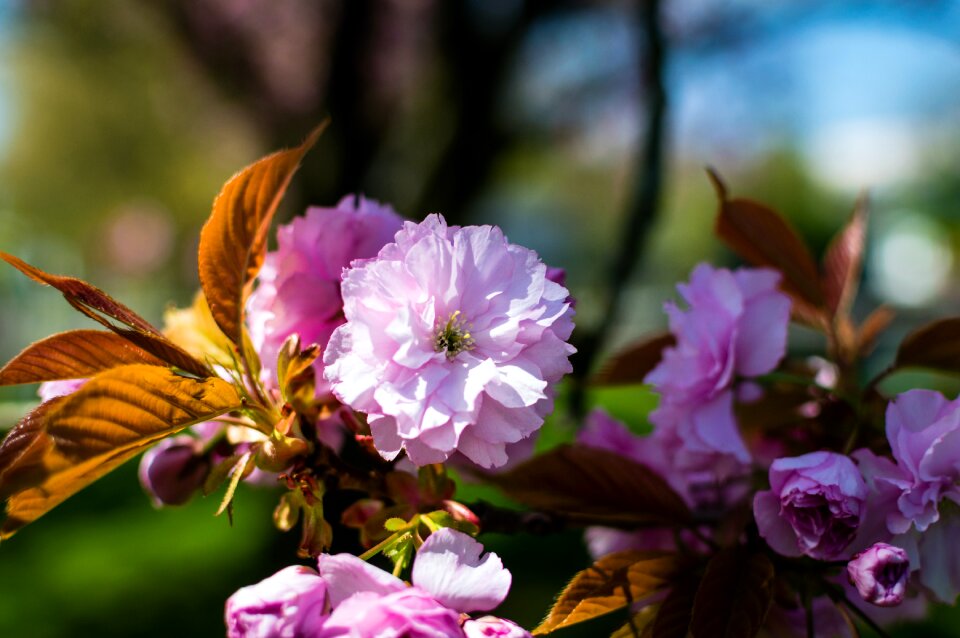 Free stock photo from Flickr