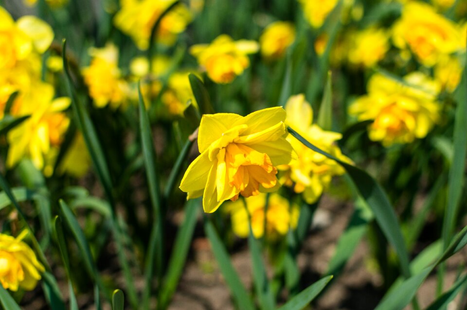 Free stock photo from Flickr