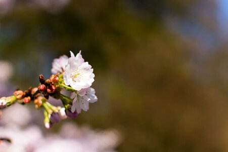 Free stock photo from Flickr