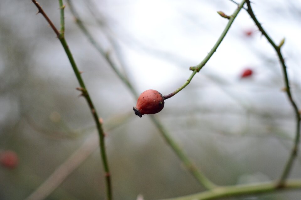 Free stock photo from Flickr