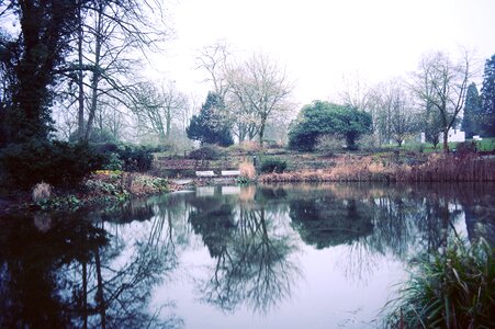 River Surrounded by Tress photo