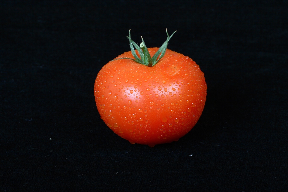 Tomato vegetable black vegetables