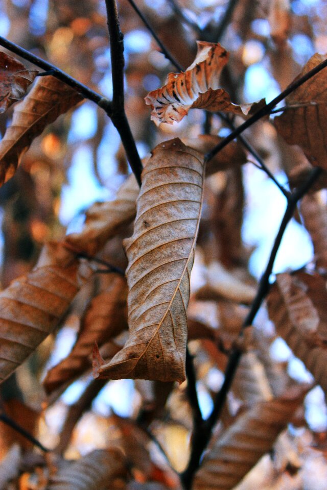 Free stock photo from Flickr