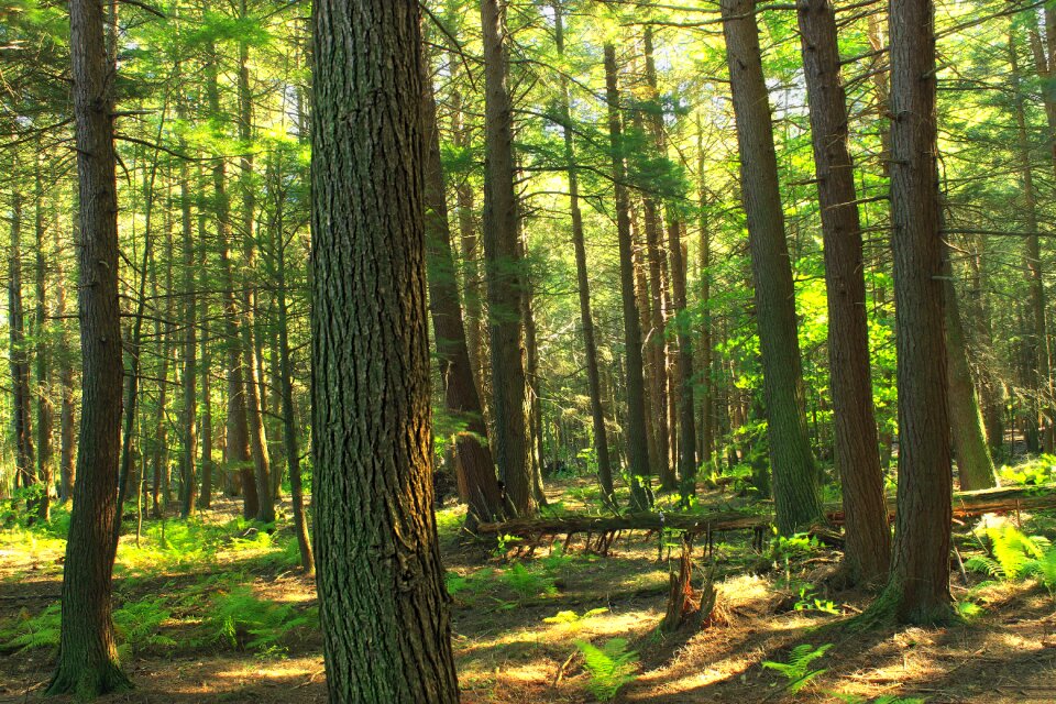 Free stock photo from Flickr