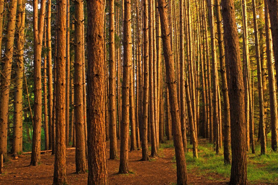 Free stock photo from Flickr