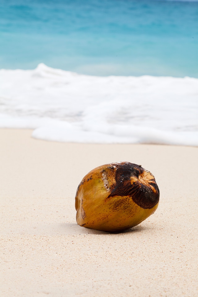 Sand sea beach