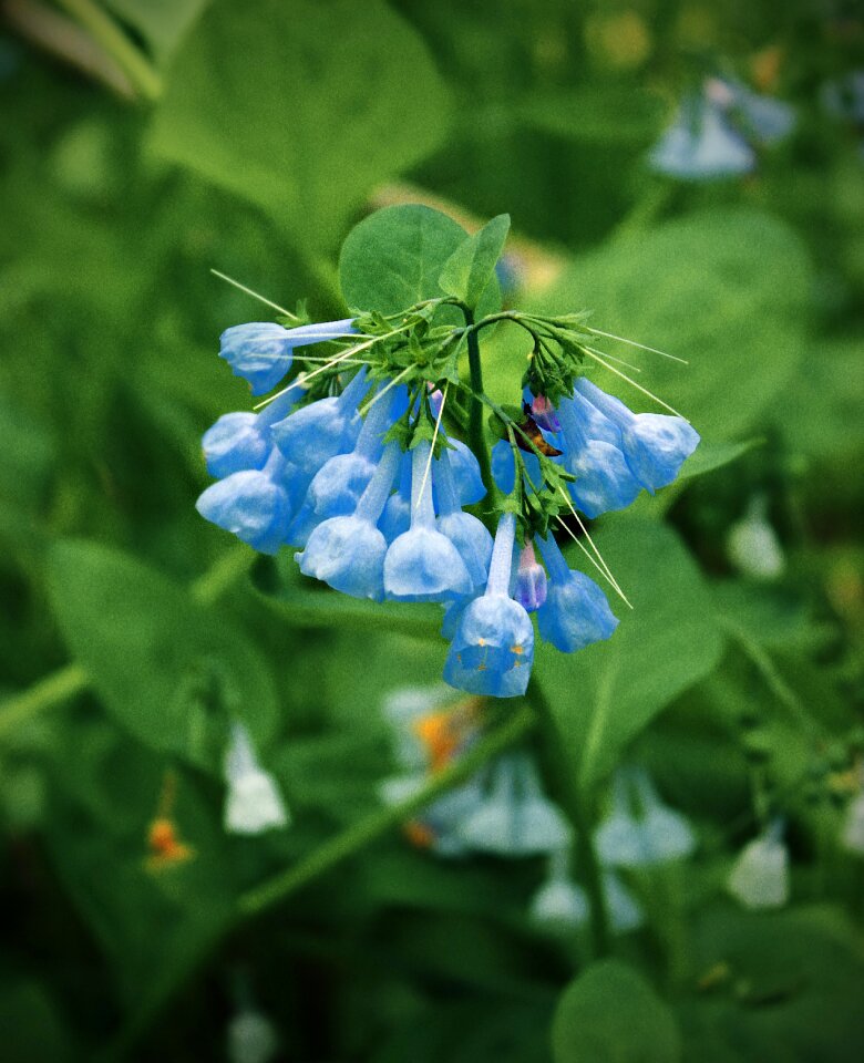 Free stock photo from Flickr
