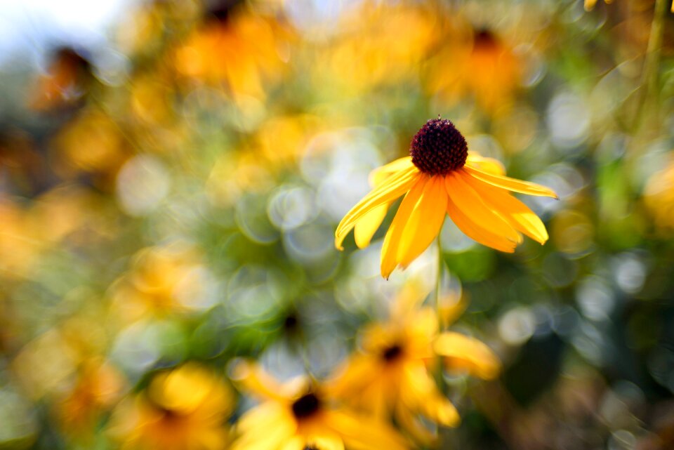 Free stock photo from Flickr
