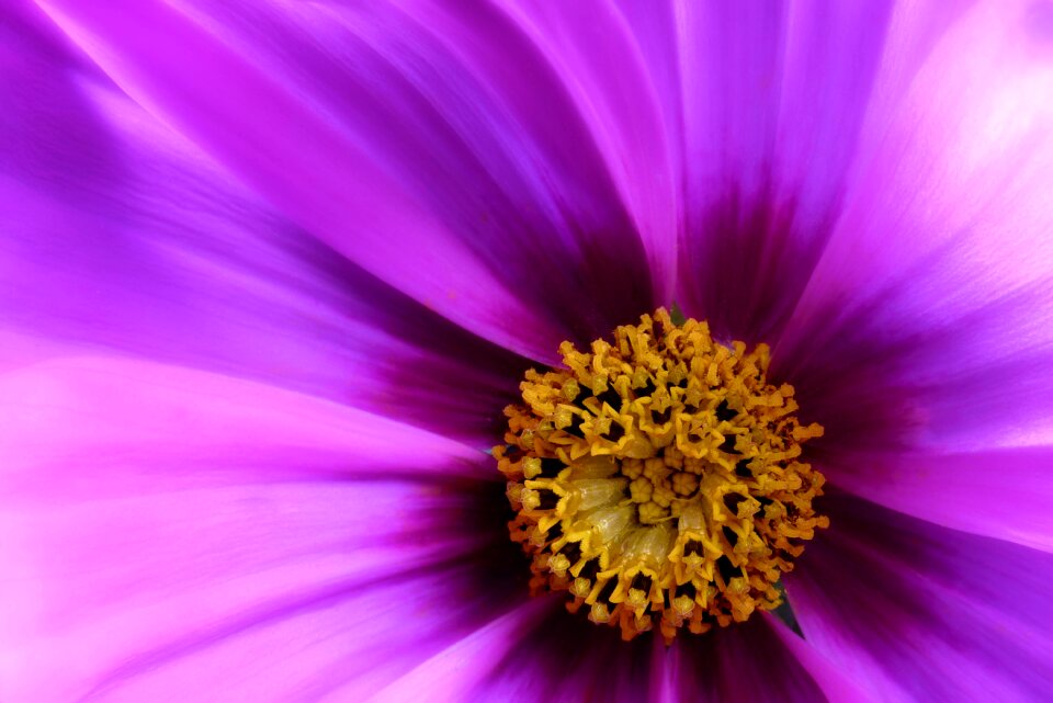 Free stock photo from Flickr
