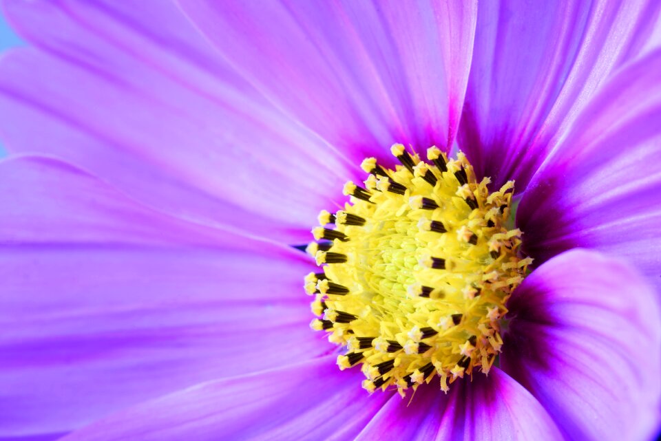 Free stock photo from Flickr