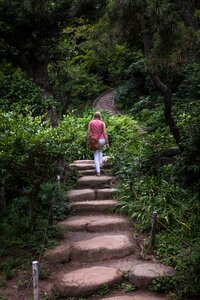 Free stock photo from Flickr
