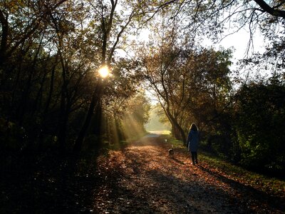 Free stock photo from Flickr