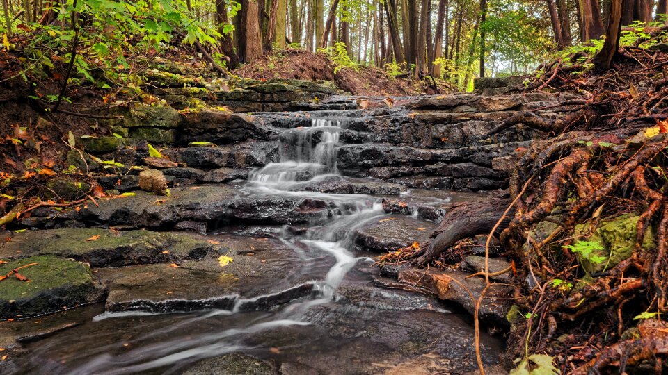 Water Falls Illustration