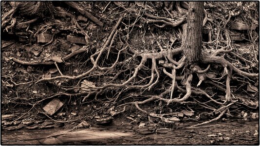 Free stock photo from Flickr