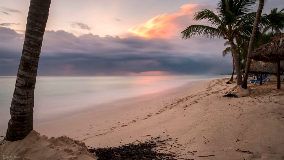 Palm Tree on Shore Near Body of Water Under Orange Sunset photo