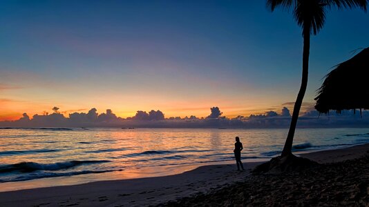 Silhouette of a Person Near Coconut Tree on Shore during Golden Hour photo