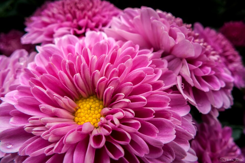 Free stock photo from Flickr