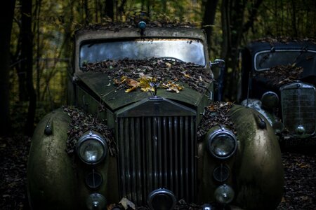 Green Classic Car in the Forest photo