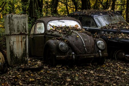 Free stock photo from Flickr