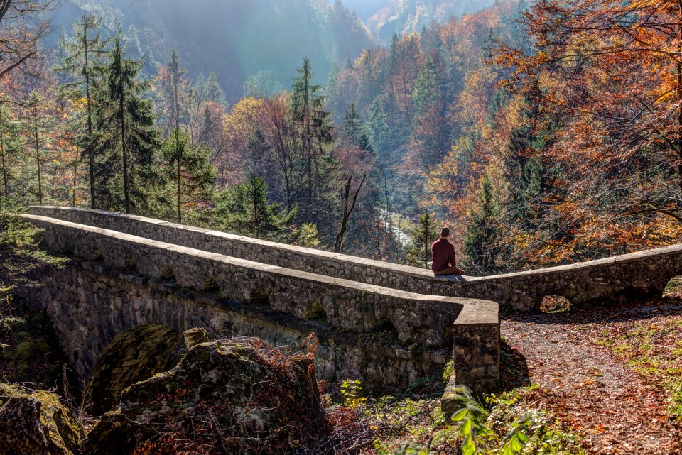Person in Brown Shirt Sitting in Concrete Bridge Across Brown and Green Tree