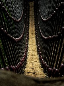 Free stock photo from Flickr