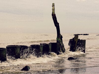Free stock photo from Flickr