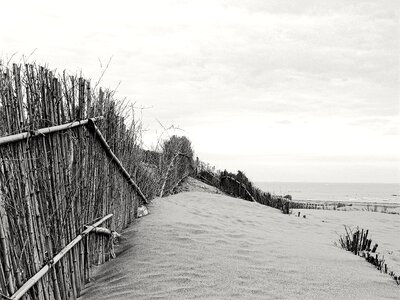 Free stock photo from Flickr