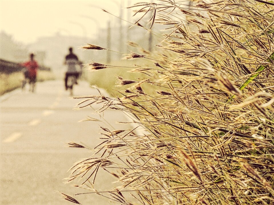 Free stock photo from Flickr