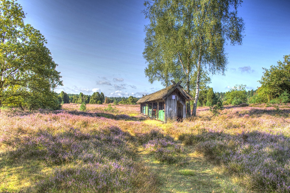Heide heather hiking