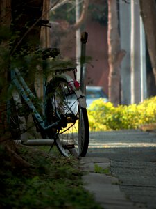 Free stock photo from Flickr