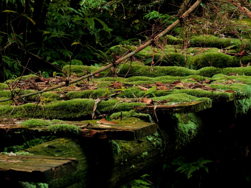 Free stock photo from Flickr