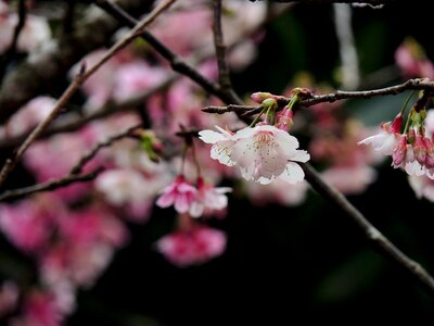 Free stock photo from Flickr