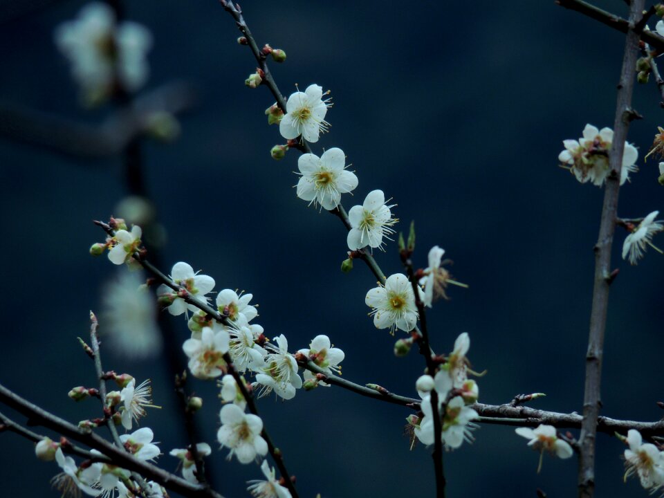 Free stock photo from Flickr