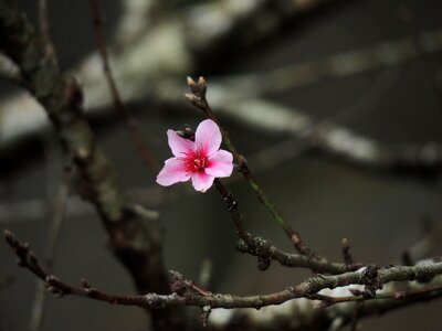 Free stock photo from Flickr