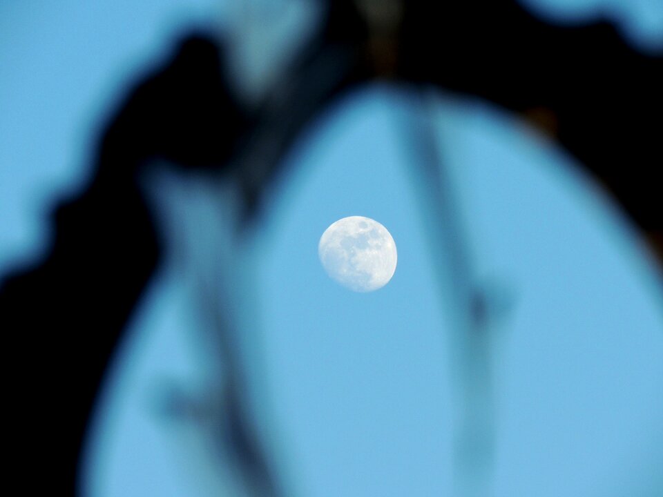 Free stock photo from Flickr