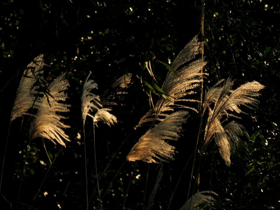 Free stock photo from Flickr