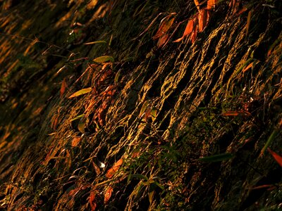Free stock photo from Flickr