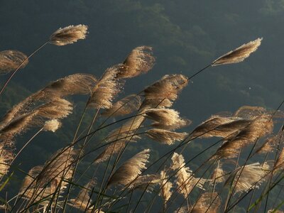 Free stock photo from Flickr