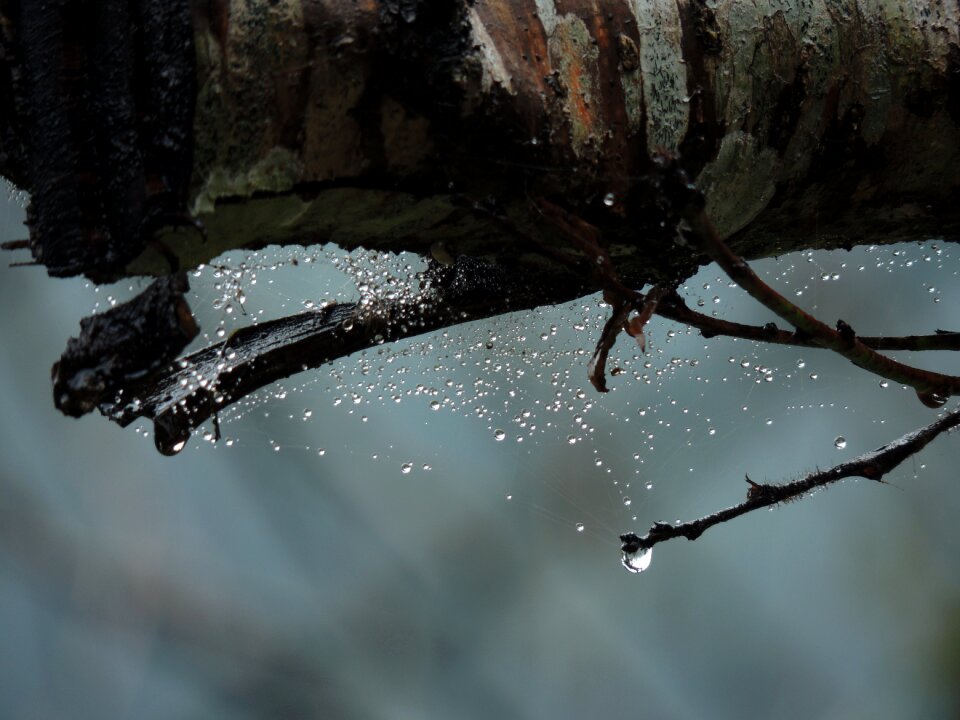 Free stock photo from Flickr