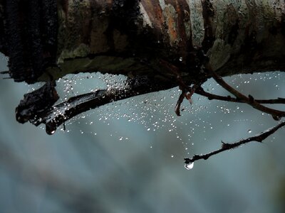 Free stock photo from Flickr
