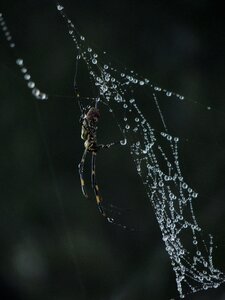 Free stock photo from Flickr