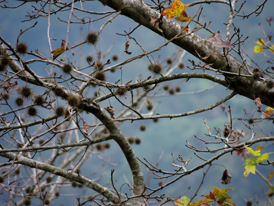 Free stock photo from Flickr