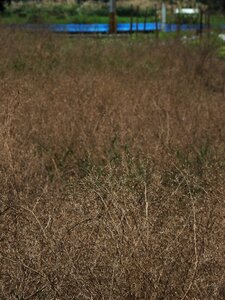 Free stock photo from Flickr